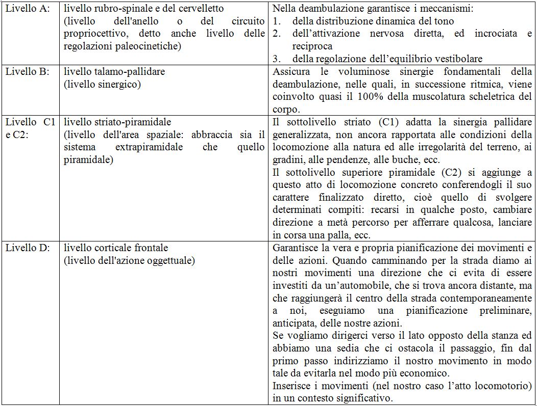 2) Luria A.R. – Il ripristino della funzione ad opera della riorganizzazione dei sistemi funzionali